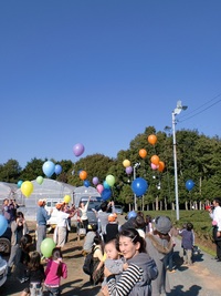 祝！五周年