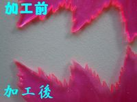 【HG】 デスティニーガンダム　光の翼