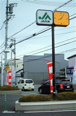 今日の朝市
