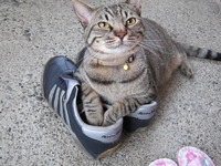 …くせ。 2012/07/18 18:39:37