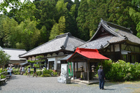 【遠州森町】極楽（あじさい）寺 2012/06/19 18:25:36