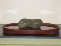 天竜水石会　第45回水石展２ 2009/05/16 18:41:14