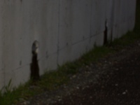 要らぬお節介ですが・・・ 2009/03/02 11:47:38