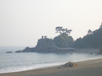 今日からブログを再開 2009/05/15 10:57:38
