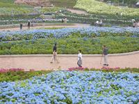 「なばなの里」へ・・・ 2009/06/10 17:38:54