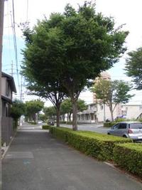 定休日の予定 2009/06/25 11:11:15