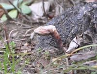 名を教えて頂けませんか？ 2010/02/16 09:39:53