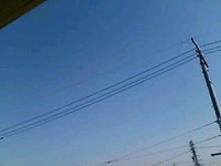 マルゴトー　♪ 2012/03/14 16:25:28