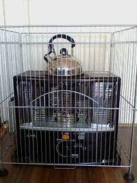 ヘンナコダワリ。。。 2012/03/15 17:26:37