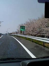 お休みー 2012/04/09 11:57:04