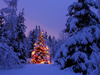 Christmas*Present For U 2010/12/25 12:34:50