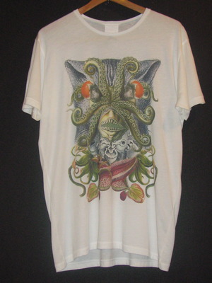 Tシャツ特集