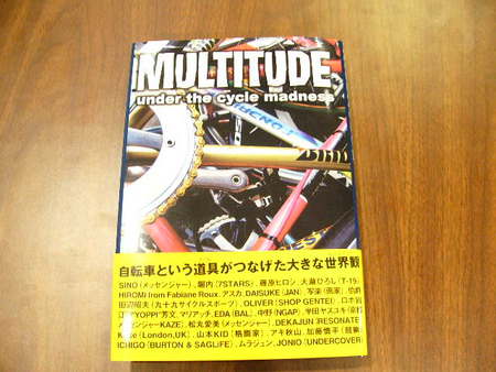 MULTITUDE