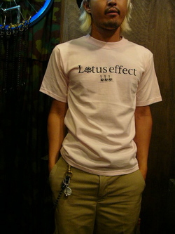 Tシャツ各種、ございます。