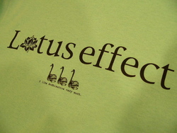 Tシャツ各種、ございます。