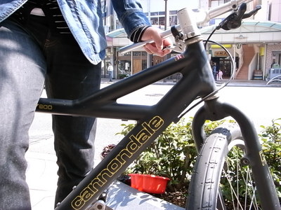 THIS IS MY BIKE