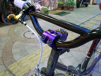 THIS IS MY BIKE