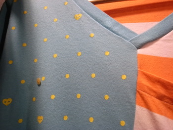 dot