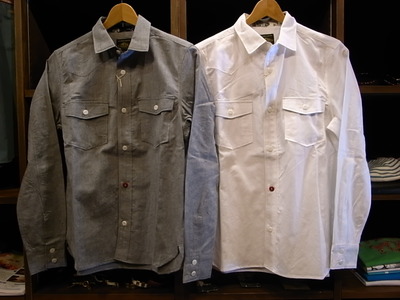今日も入荷。