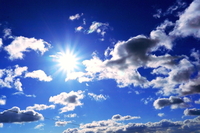 緊急SALE*今週末の22(日)まで 2011/01/20 11:42:03
