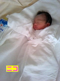 祝☆１歳 2010/10/15 20:37:00