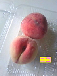 ﾍﾙﾊﾟﾝｷﾞｰﾅだった！ 2010/07/17 22:36:09