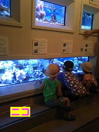 竹島水族館 2010/08/16 23:01:55