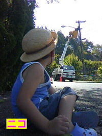 高いな～ 2010/08/17 22:33:08