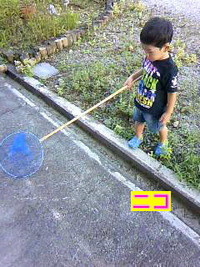 お散歩 2010/09/10 21:17:58