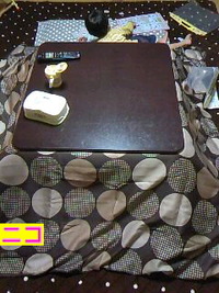寒くなってきたので 2010/09/26 20:23:48