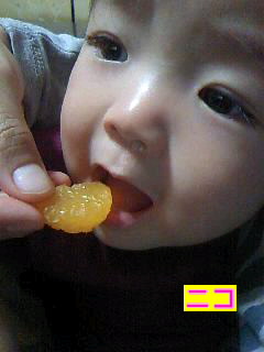 みかんの季節