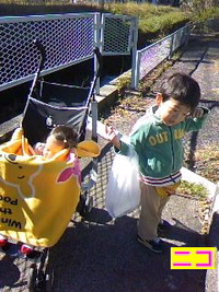 お散歩♪ 2010/11/04 20:11:41