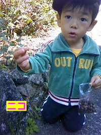 どんぐり!？ 2010/11/05 22:27:16