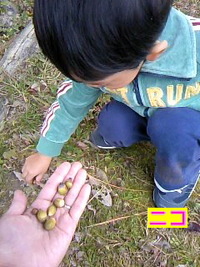 ついに見つけたよ!!! 2010/11/12 16:17:16