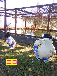 影踏み