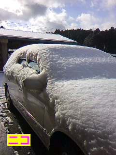 雪だ～!!