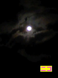 月*胎内記憶 2011/01/19 21:43:37