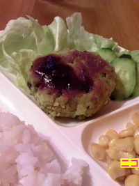 大人気!おからﾊﾝﾊﾞｰｸﾞ 2011/02/21 21:35:59