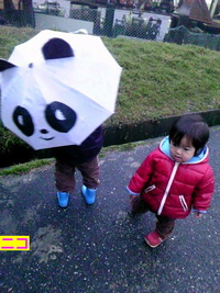雨上がりの憂鬱＊耳にｸﾚﾖﾝ 2011/02/28 22:57:22