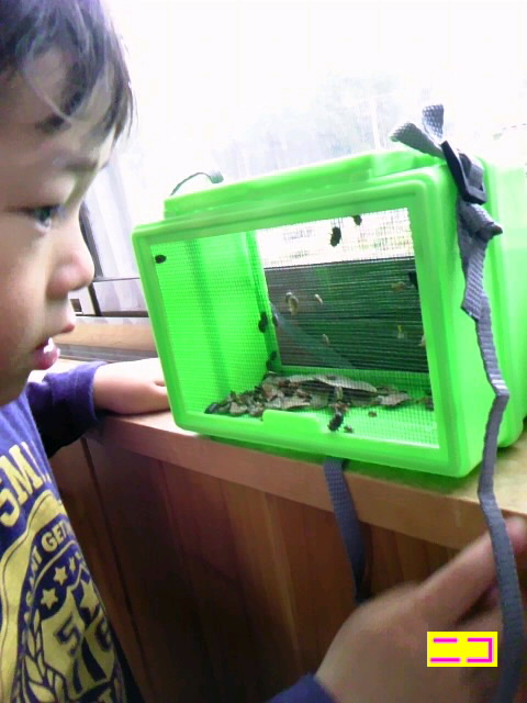 ｳｷﾞｬーーー(°□°;)!!