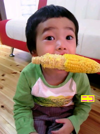 とうもろこし大好き!! 2011/06/17 21:22:25