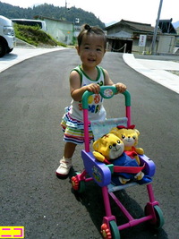 お散歩＆ﾌﾟｰﾙ 2011/06/30 22:06:06