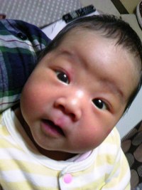 生後1ヶ月 2012/02/25 22:39:24