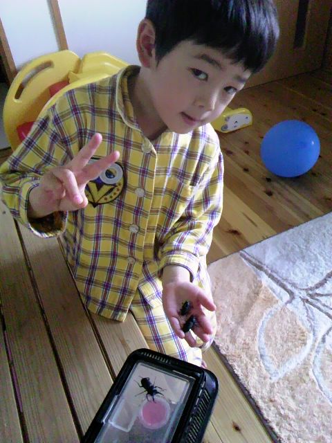 冬を越したｸﾜｶﾞﾀ!!
