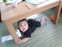 お気に入りの場所 2012/08/06 08:48:20