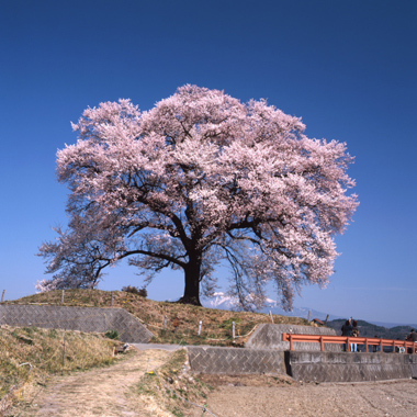 昭和の遺書　１