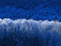 講習２日め・・・ 2007/12/03 20:18:52
