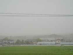 4月2日かな？