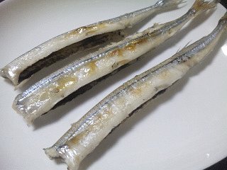 舞阪港 サヨリの塩焼き L 南浜名湖 Fish Tips