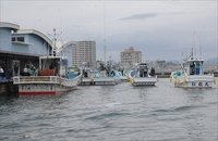 舞阪港しらす漁　漁の終わりは明日の始まり